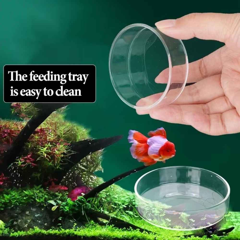 Baby Food Shrimp - ชามให้อาหารปลาแก้วใส ทนทาน ถาดกลมใส สำหรับตู้ปลา ตัวจ่ายอาหารปลาแบบโปร่งใส สำหรับลูกปลา
