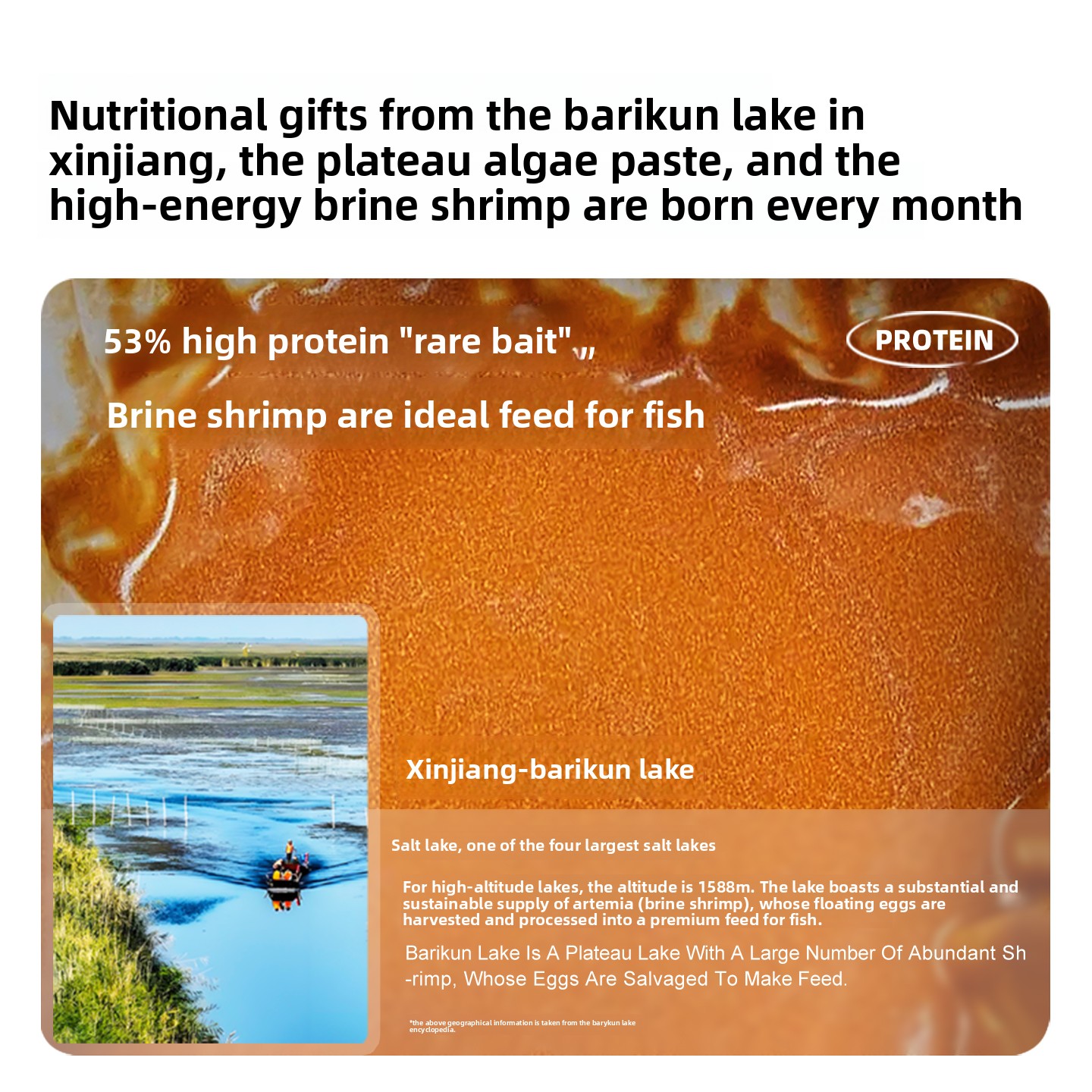 สาหร่ายอาร์ทีเมียแบบไม่ต้องฟัก - Baby Food Shrimp บทวิจารณ์และราคา