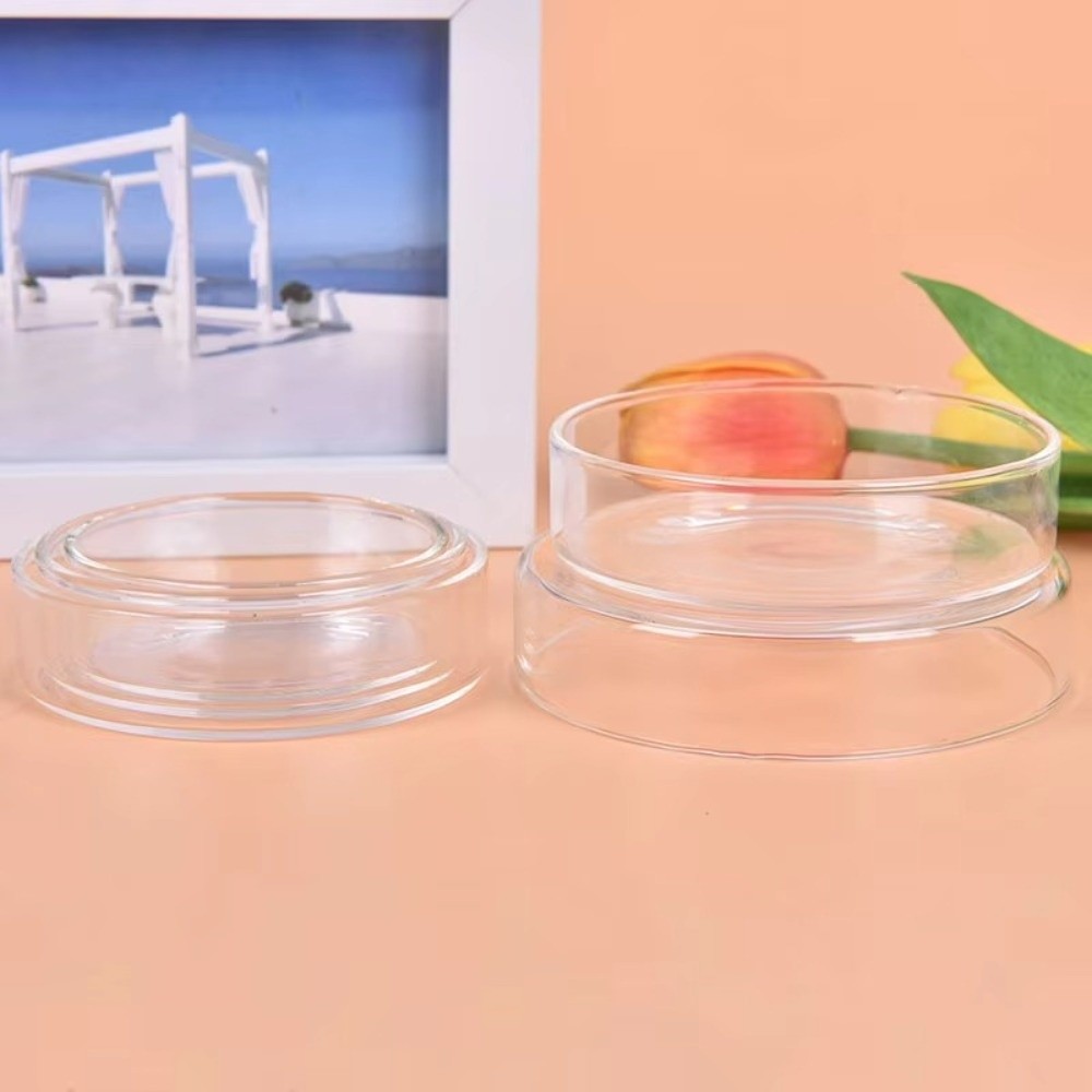 ชามให้อาหารปลาแก้วใส ทนทาน ถาด - Baby Food Shrimp บทวิจารณ์และราคา