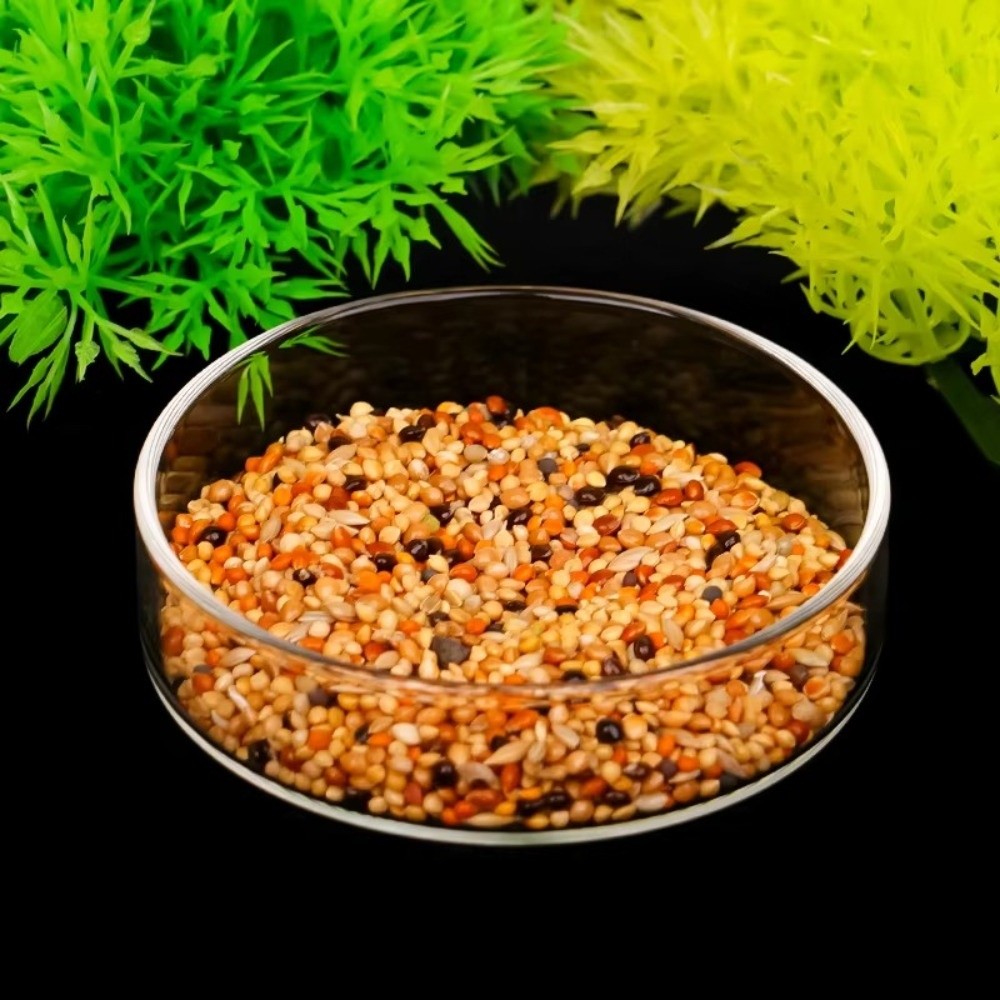 ชามให้อาหารปลาแก้วใส ทนทาน ถาด - Baby Food Shrimp บทวิจารณ์และราคา