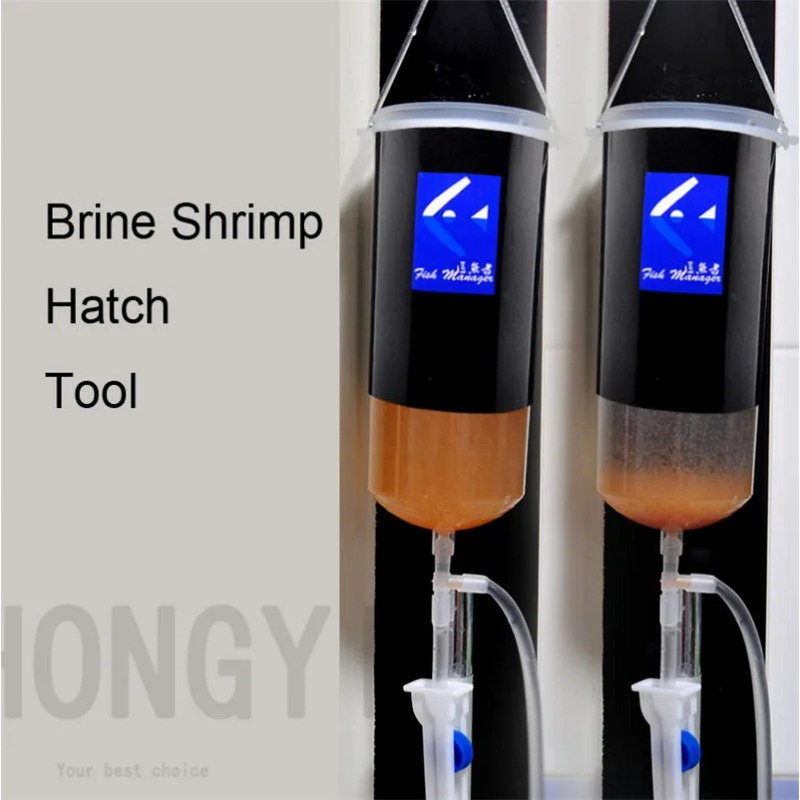 นางฟ้ากุ้งไข่artemiaยังมีชีวิต - Baby Food Shrimp บทวิจารณ์และราคา