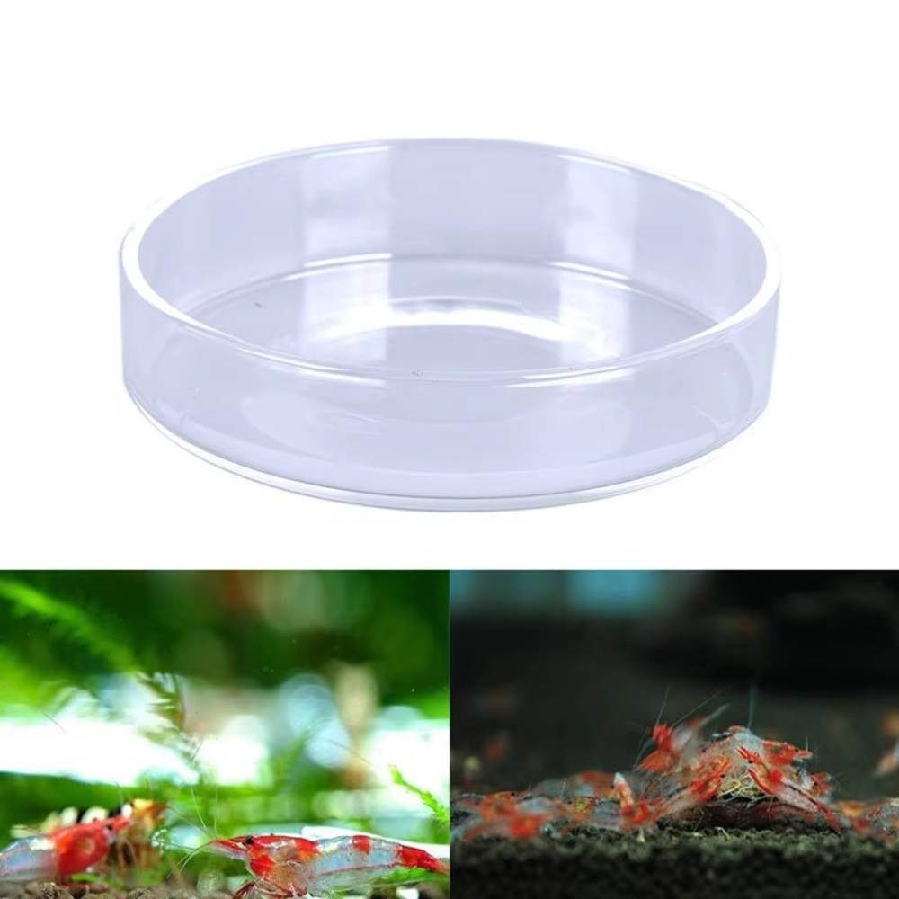 ชามให้อาหารปลาในตู้ปลาแบบแก้ว  - Baby Food Shrimp บทวิจารณ์และราคา